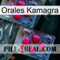Oral Kamagra 14